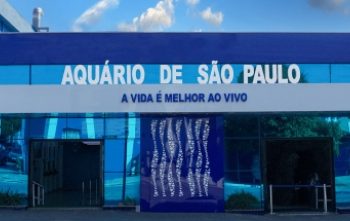 Associado SEESP tem desconto em ingressos do Aquário de São Paulo